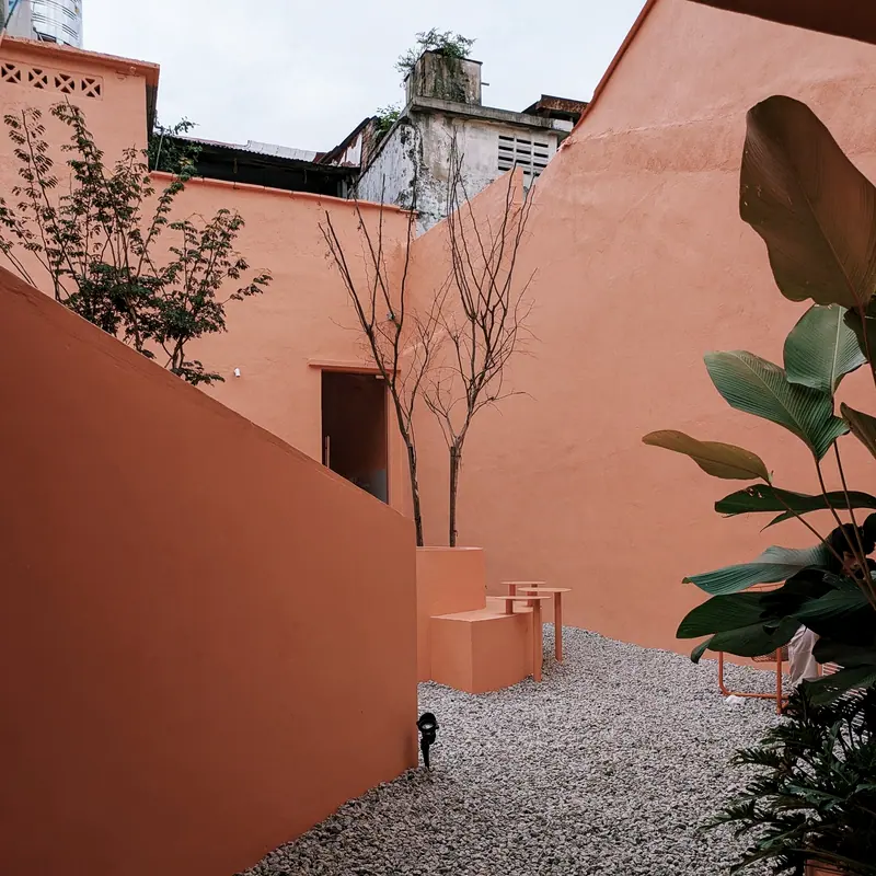 An ochre-walled courtyard planted with a single tree